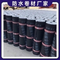 濕鋪防水卷材在車庫底板中的應用與市場銷售策略分析