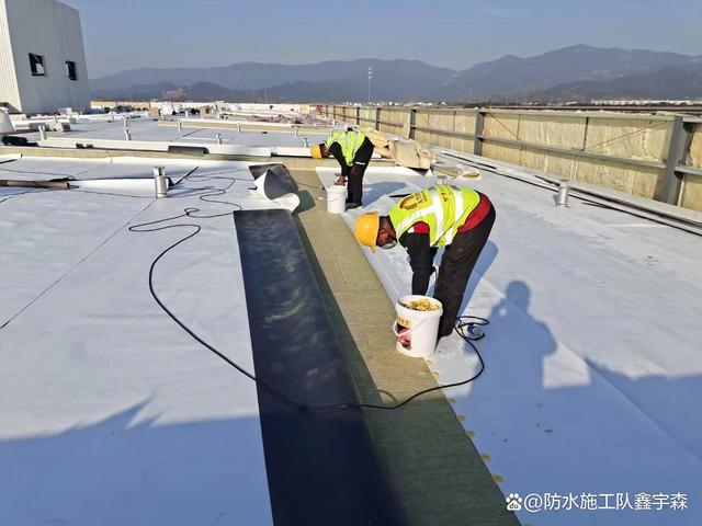 新型TPO防水卷材施工技術解析及其市場銷售策略